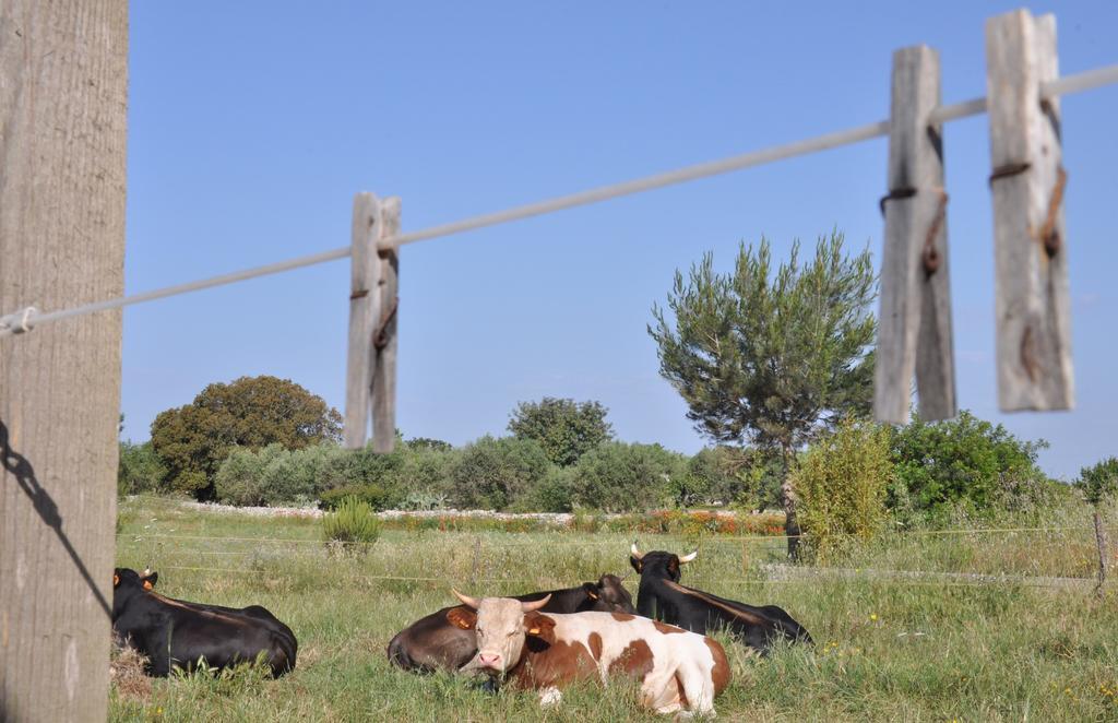 Masseria Uccio Bed & Breakfast ทริกาเซ ภายนอก รูปภาพ